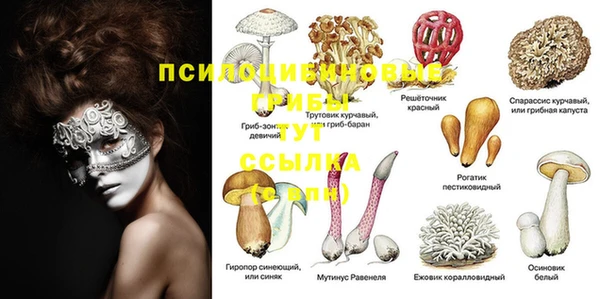 MDMA Premium VHQ Алексин