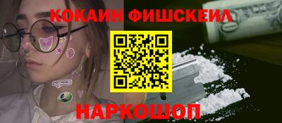 крисы Камышлов