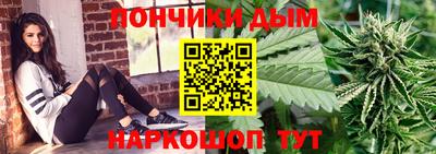 крисы Камышлов