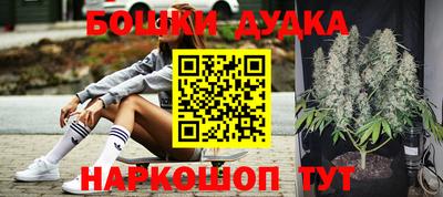 крисы Камышлов